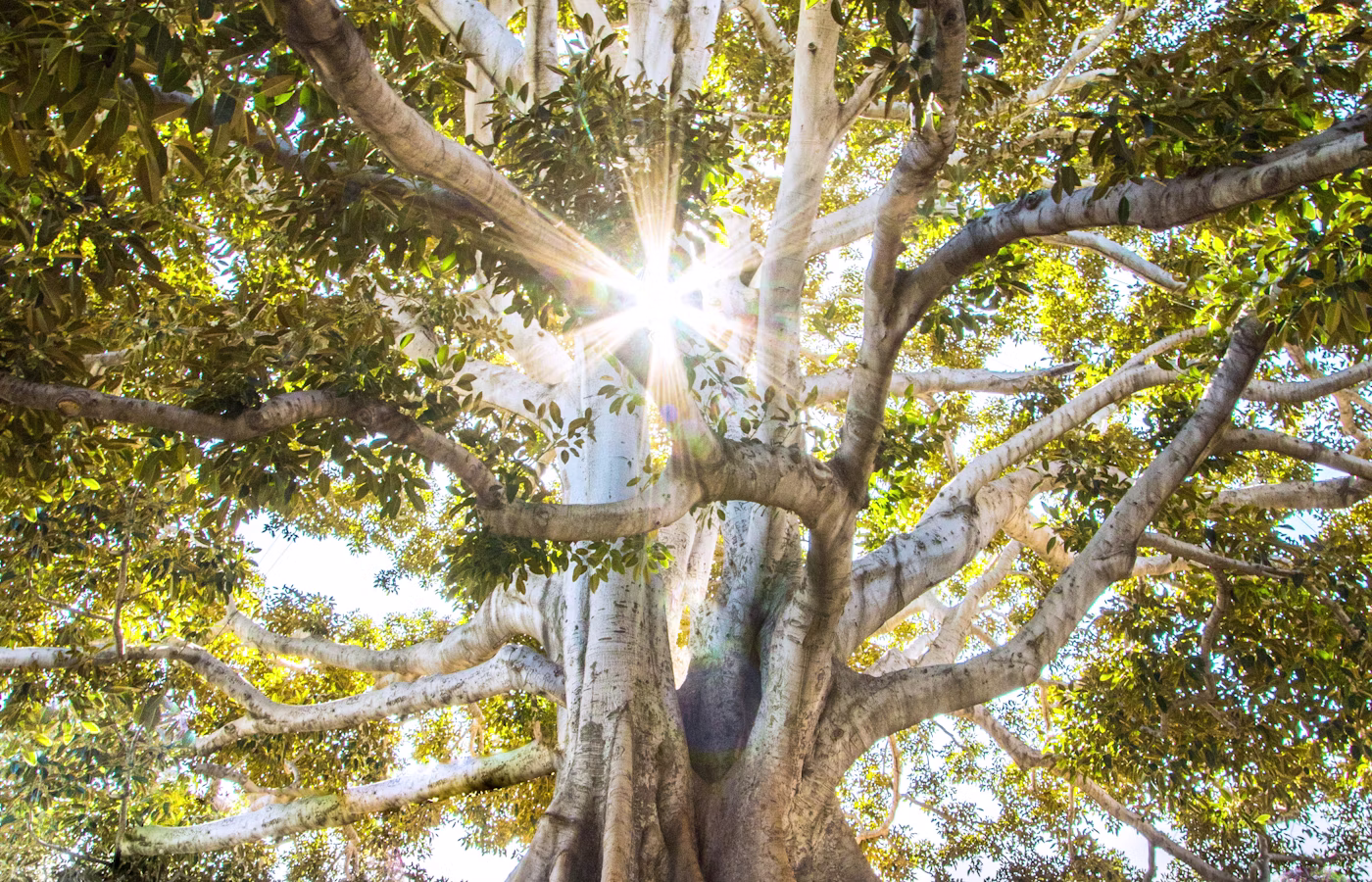 Внутренний голос для предпринимателя